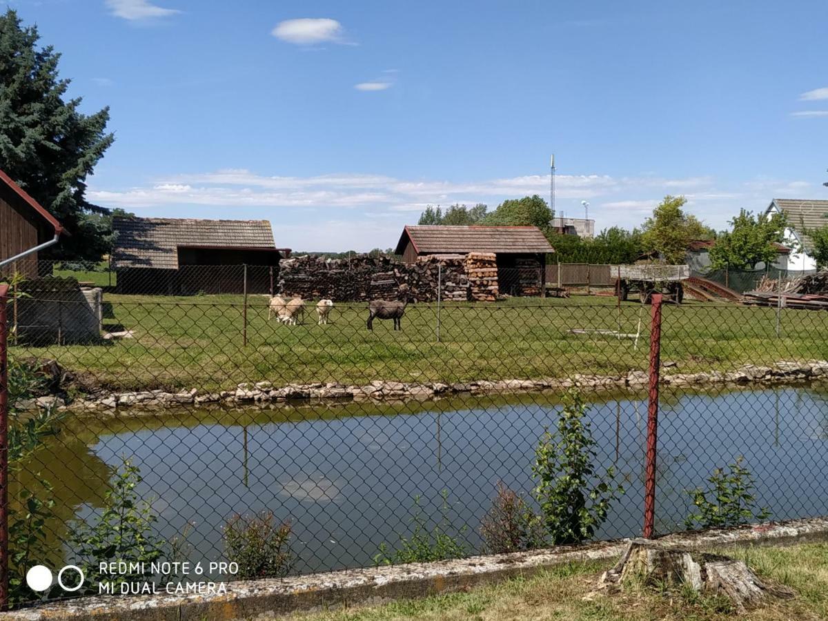 Ubytovani Ve Stodole Stráž nad Nežárkou Exterior foto
