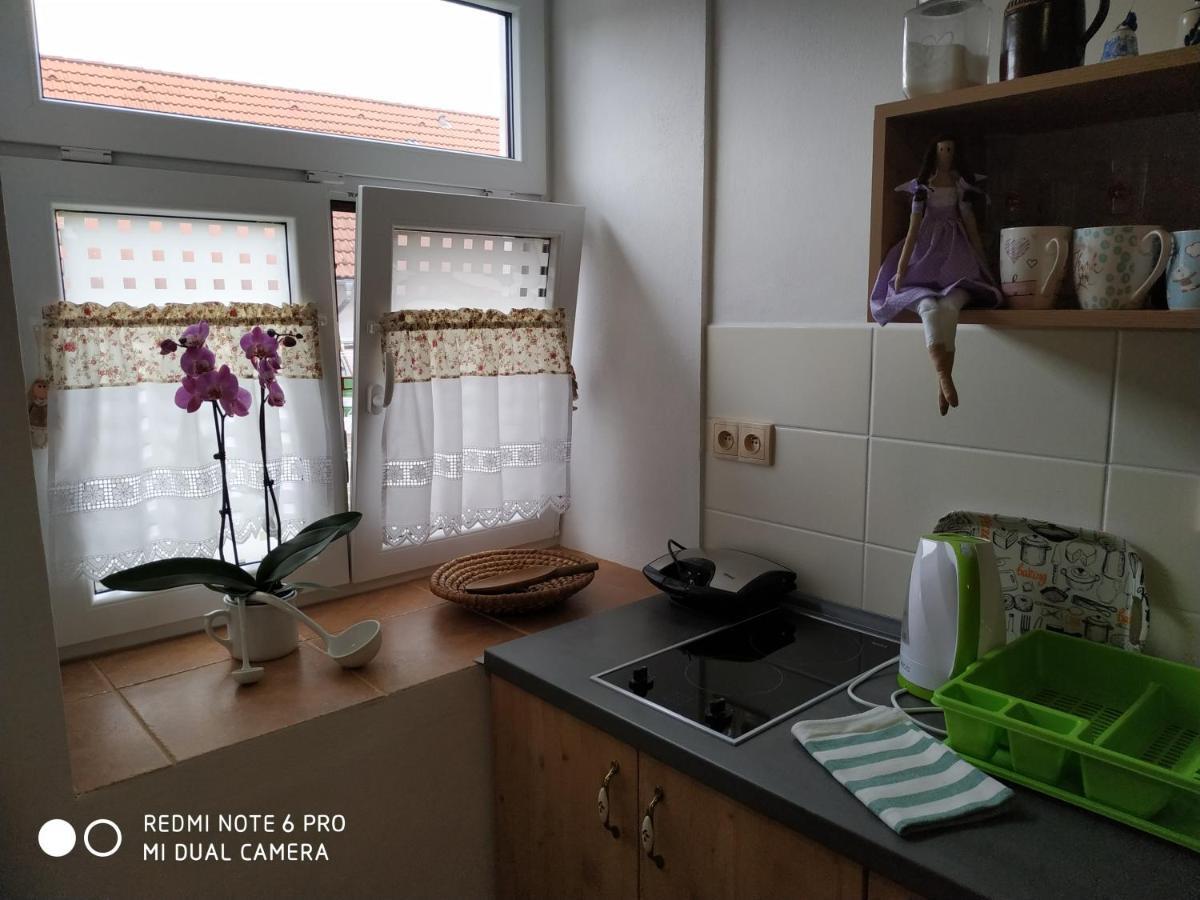 Ubytovani Ve Stodole Stráž nad Nežárkou Exterior foto